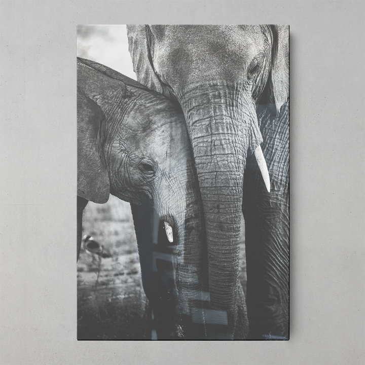 Elephant’s Embrace Wall Art