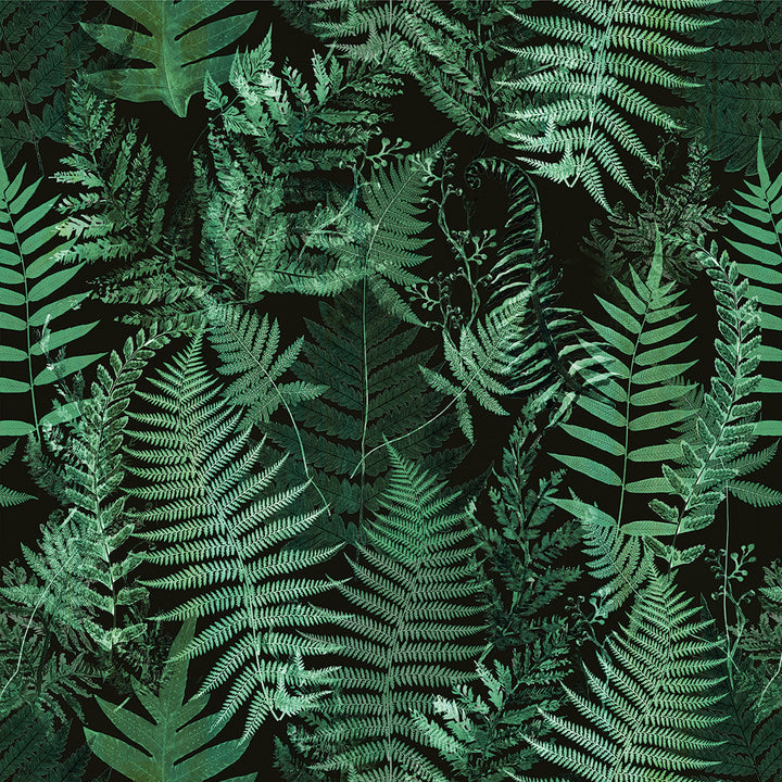 Jungle Vibe Wallpaper