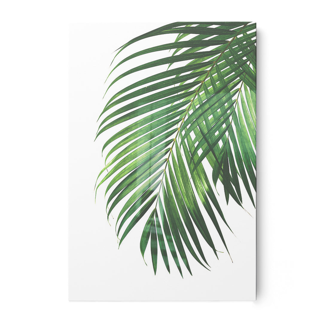 Chlorophyll Canvases Wall Art