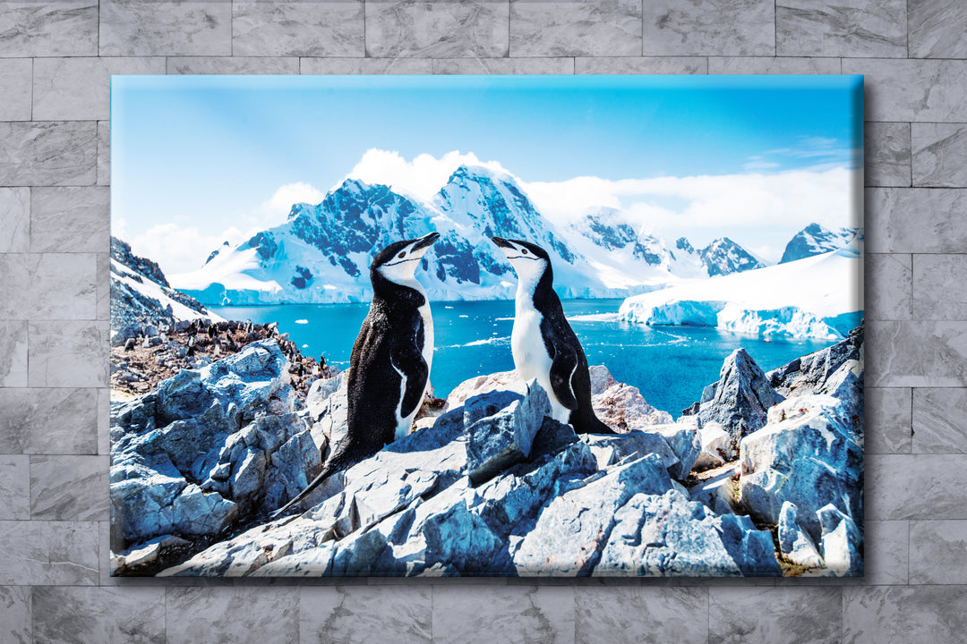 Acrylic Glass Frame Modern Wall Art Antarctica - Wonders Of Nature Series - Interior Design - Acrylic Wall Art - Picture Photo Printing Artwork - Multiple Size Options - egraphicstore