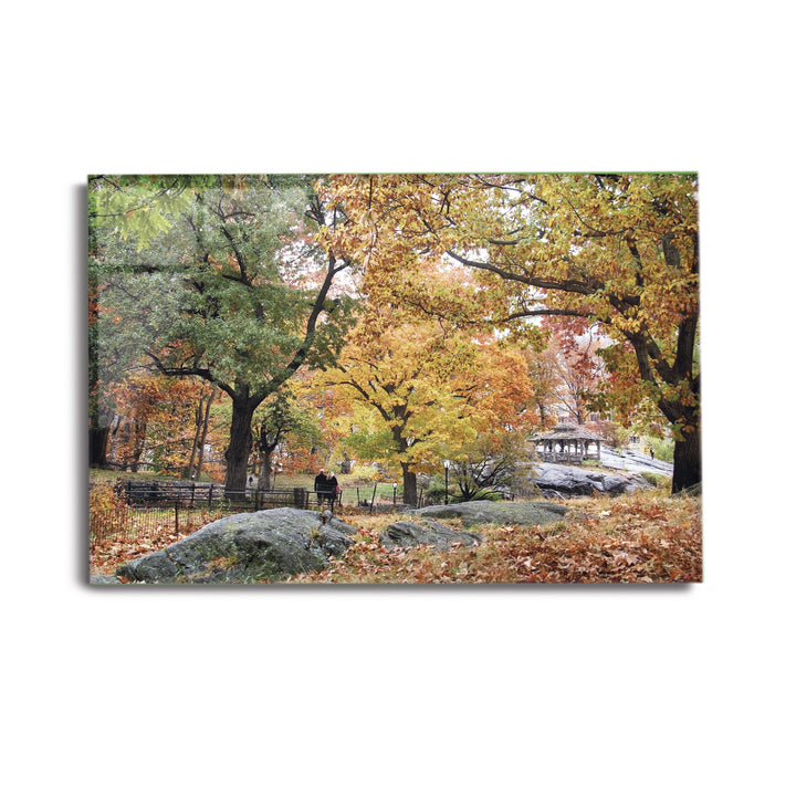 Acrylic Modern Wall Art Central Park - Travel Around The World Series - Interior Design - Acrylic Wall Art - Picture Photo Printing Artwork - Multiple Size Options - egraphicstore