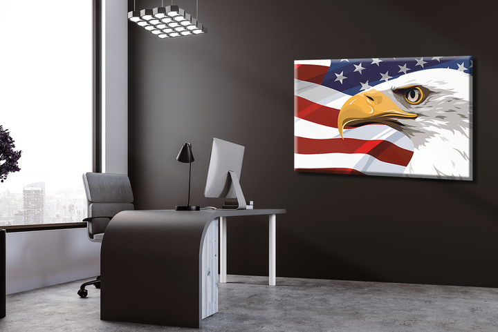 Acrylic Frame Modern Wall Art American Patriotic Symbols - Country Flags Series - Interior Design - Acrylic Wall Art - Picture Photo Printing Artwork - Multiple Size Options - egraphicstore