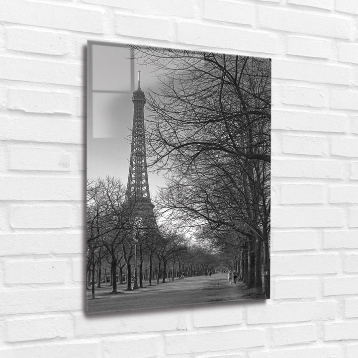 Acrylic Modern Wall Art Eiffel Tower - Travel Around The World Series - Interior Design - Acrylic Wall Art - Picture Photo Printing Artwork - Multiple Size Options - egraphicstore
