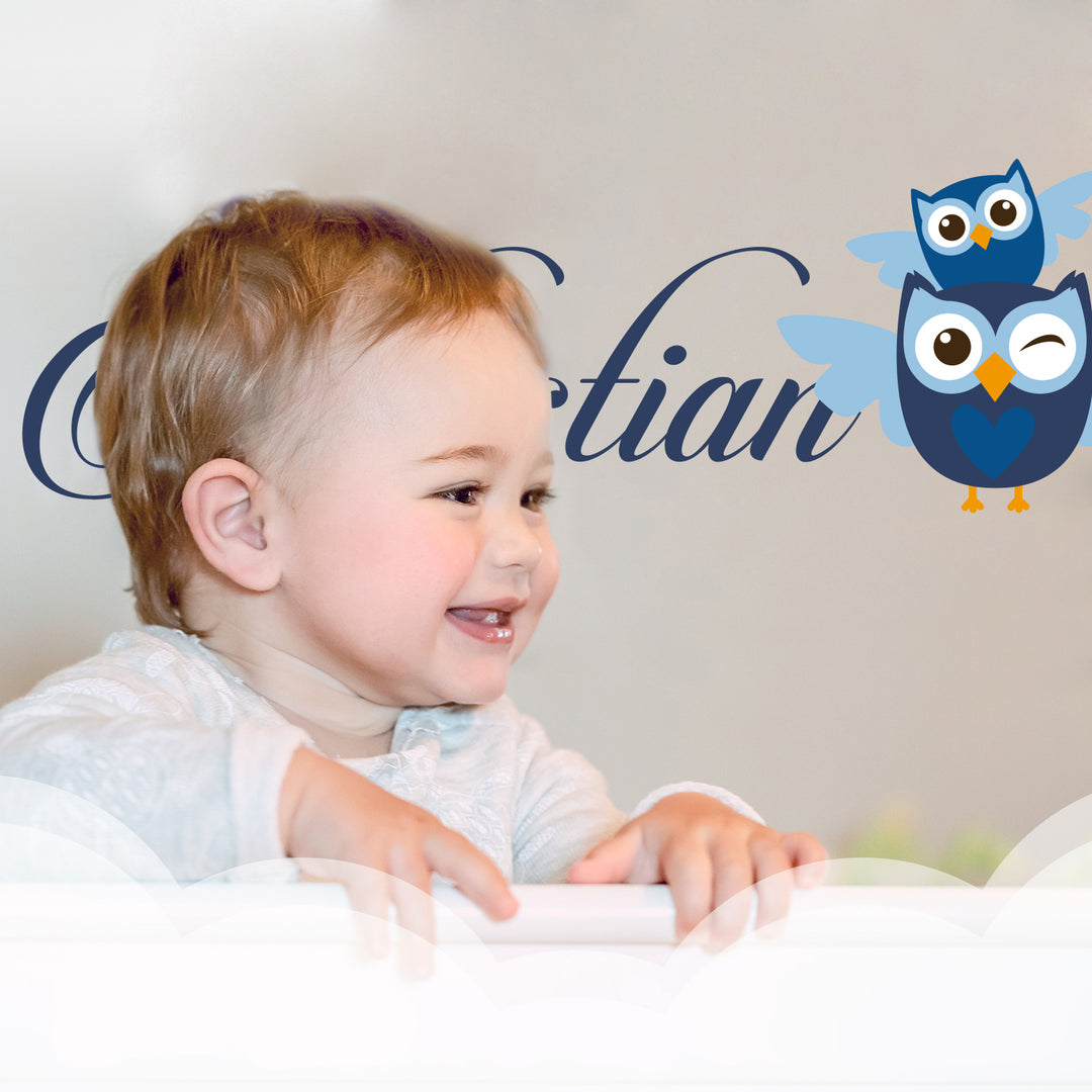 Personalized Name Owl Animal Series - Baby Girl - Wall Decal Nursery for Home Bedroom Children (781) - egraphicstore