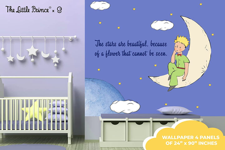 The Little Prince Peel and Stick Wallpaper - EGD X The Little Prince Series - Prime Collection - Theme Wallpaper Mural for Interior Design (EGDLP045) - egraphicstore
