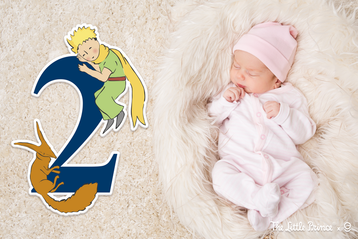 The Little Prince Birthday Numbers Backdrop and Birthday Centerprice Table in PVC - EGD X The Little Prince Series - Prime Collection - PVC Party and Birthday Supplies - Support with Double-S - egraphicstore