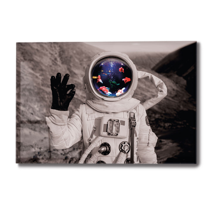 Acrylic Modern Wall Art Astronaut Series - Acrylic Wall Art - Picture Photo Printing Artwork - Multiple Size Options (ASTRO004) - egraphicstore