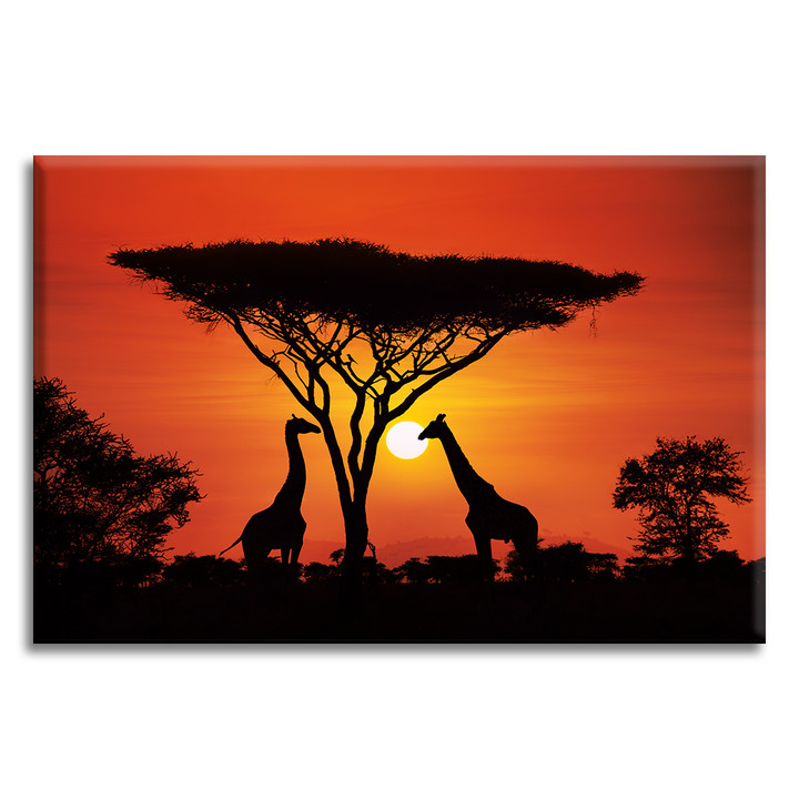 Acrylic Glass Frame Modern Wall Art Serengeti National Park - Wonders Of Nature Series - Interior Design - Acrylic Wall Art - Picture Photo Printing Artwork - Multiple Size Options - egraphicstore