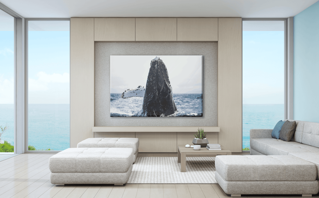 Acrylic Glass Modern Wall Art Whale - Sea Life Series - Interior Design - Acrylic Wall Art - Picture Photo Printing Artwork - Multiple Size Options - egraphicstore