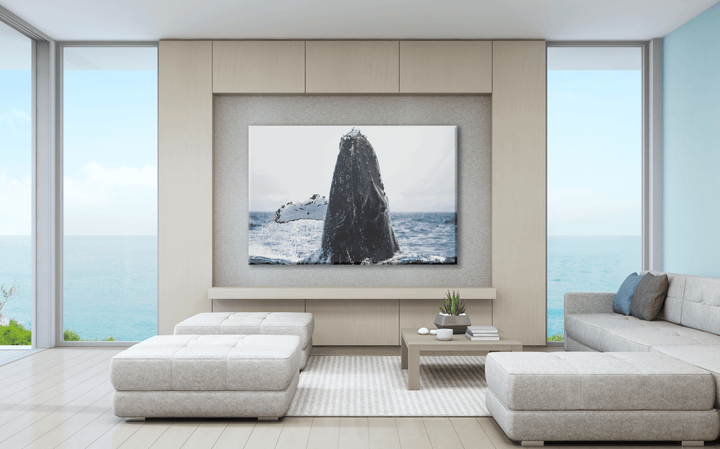 Acrylic Glass Modern Wall Art Whale - Sea Life Series - Interior Design - Acrylic Wall Art - Picture Photo Printing Artwork - Multiple Size Options - egraphicstore