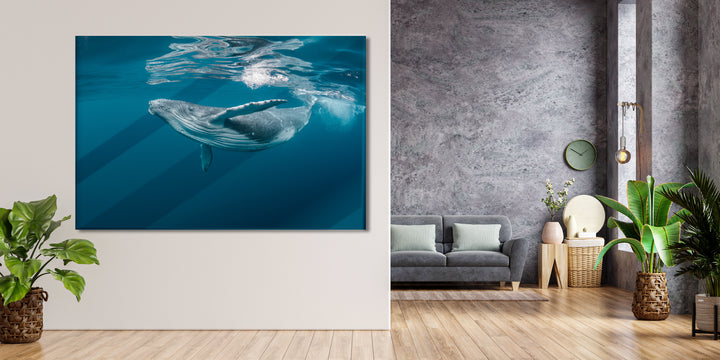 Acrylic Modern Wall Art Whale - Animals In The Wild Series - Modern Interior Design - Acrylic Wall Art - Picture Photo Printing Artwork - Multiple Size Options - egraphicstore