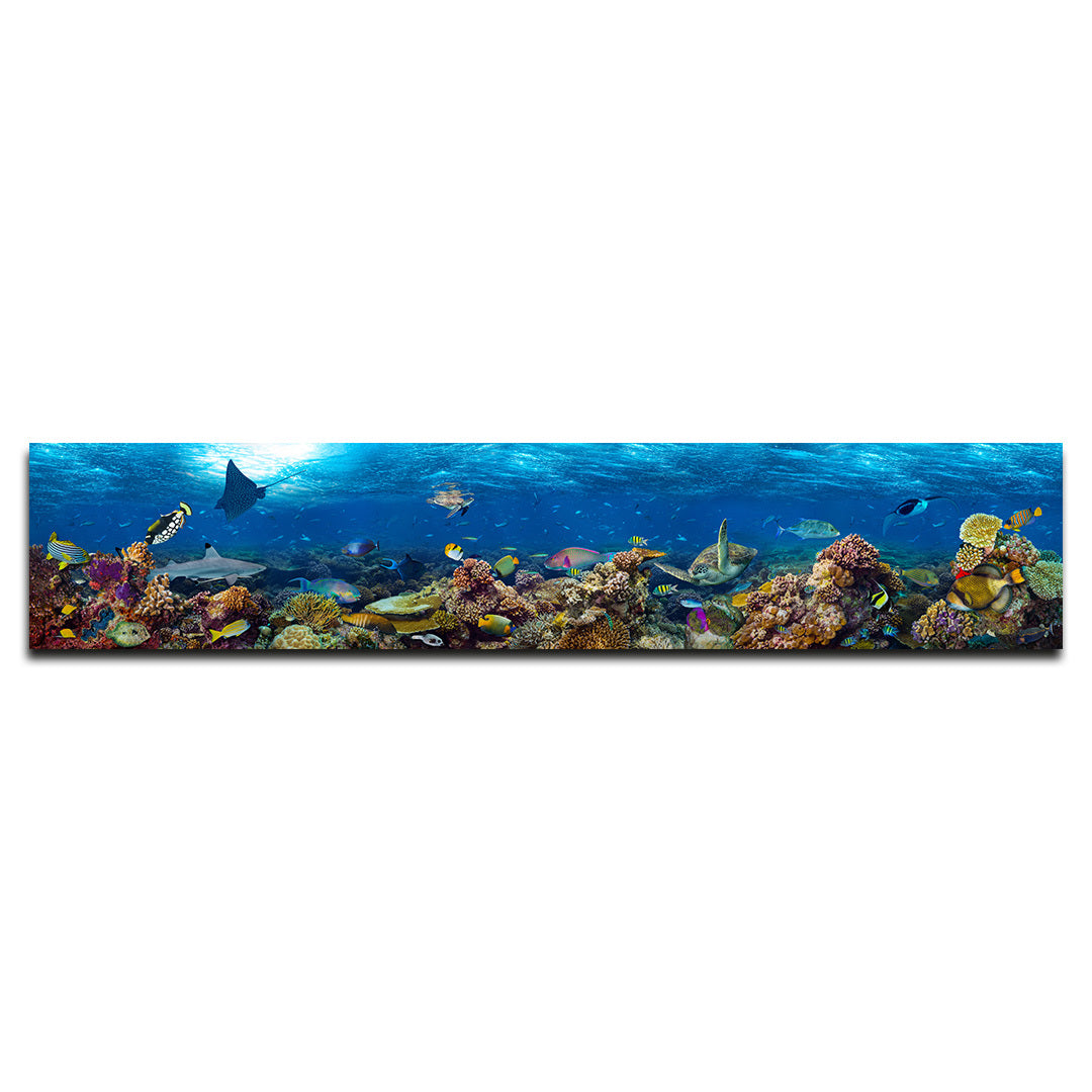 Acrylic Modern Wall Art Underwater Coral Reef - Animals In The Wild Series - Modern Interior Design - Acrylic Wall Art - Picture Photo Printing Artwork - Multiple Size Options - egraphicstore