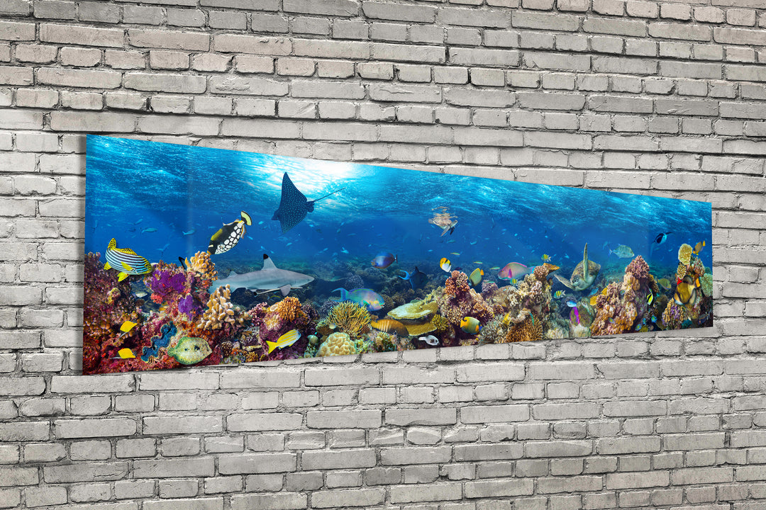 Acrylic Modern Wall Art Underwater Coral Reef - Animals In The Wild Series - Modern Interior Design - Acrylic Wall Art - Picture Photo Printing Artwork - Multiple Size Options - egraphicstore