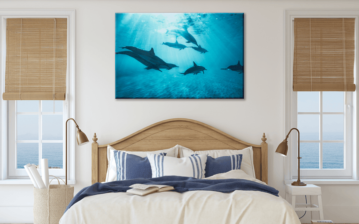 Acrylic Glass Modern Wall Art Dolphins - Sea Life Series - Interior Design - Acrylic Wall Art - Picture Photo Printing Artwork - Multiple Size Options - egraphicstore