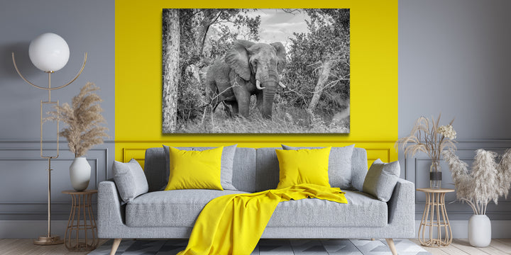 Acrylic Modern Wall Art Elephant - Animals In The Wild Series - Modern Interior Design - Acrylic Wall Art - Picture Photo Printing Artwork - Multiple Size Options - egraphicstore