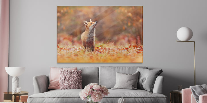 Acrylic Modern Wall Art Fox - Animals In The Wild Series - Modern Interior Design - Acrylic Wall Art - Picture Photo Printing Artwork - Multiple Size Options - egraphicstore
