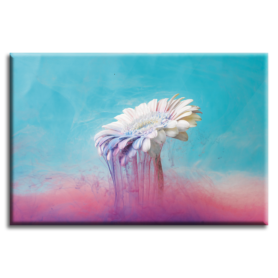 Acrylic Glass Frame Modern Wall Art Daisy Flowers - The Diversity Of Flowers Series - Interior Design - Acrylic Wall Art - Picture Photo Printing Artwork - Multiple Size Options - egraphicstore