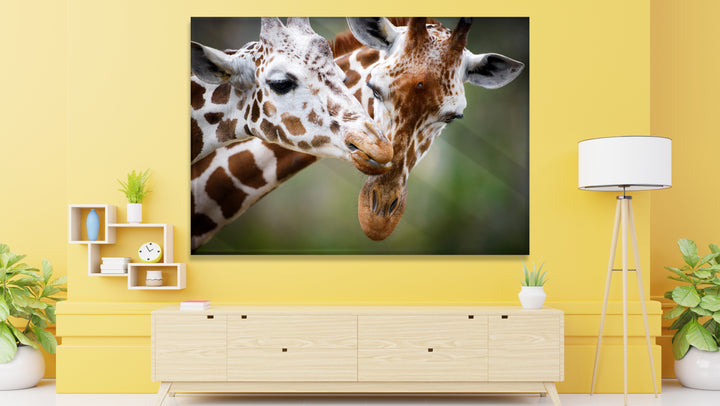 Acrylic Modern Wall Art Giraffe Couple - Animals In The Wild Series - Modern Interior Design - Acrylic Wall Art - Picture Photo Printing Artwork - Multiple Size Options - egraphicstore