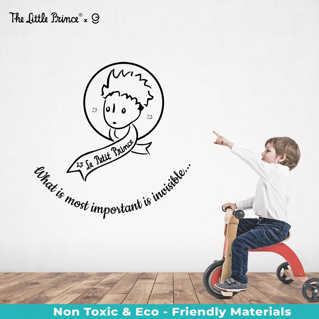 Little Prince Wall Decal - EGD X The Little Prince Series - Prime Collection - Baby Girl or Boy - Nursery Wall Decal for Baby Room Decorations - Mural Wall Decal Sticker (EGDLP019) - egraphicstore
