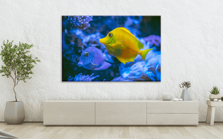 Acrylic Glass Modern Wall Art Fishes - Sea Life Series - Interior Design - Acrylic Wall Art - Picture Photo Printing Artwork - Multiple Size Options - egraphicstore