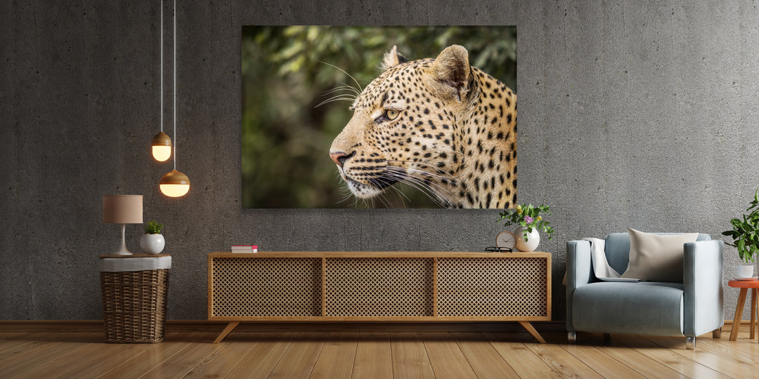Acrylic Modern Wall Art Leopard Profile - Animals In The Wild Series - Modern Interior Design - Acrylic Wall Art - Picture Photo Printing Artwork - Multiple Size Options - egraphicstore