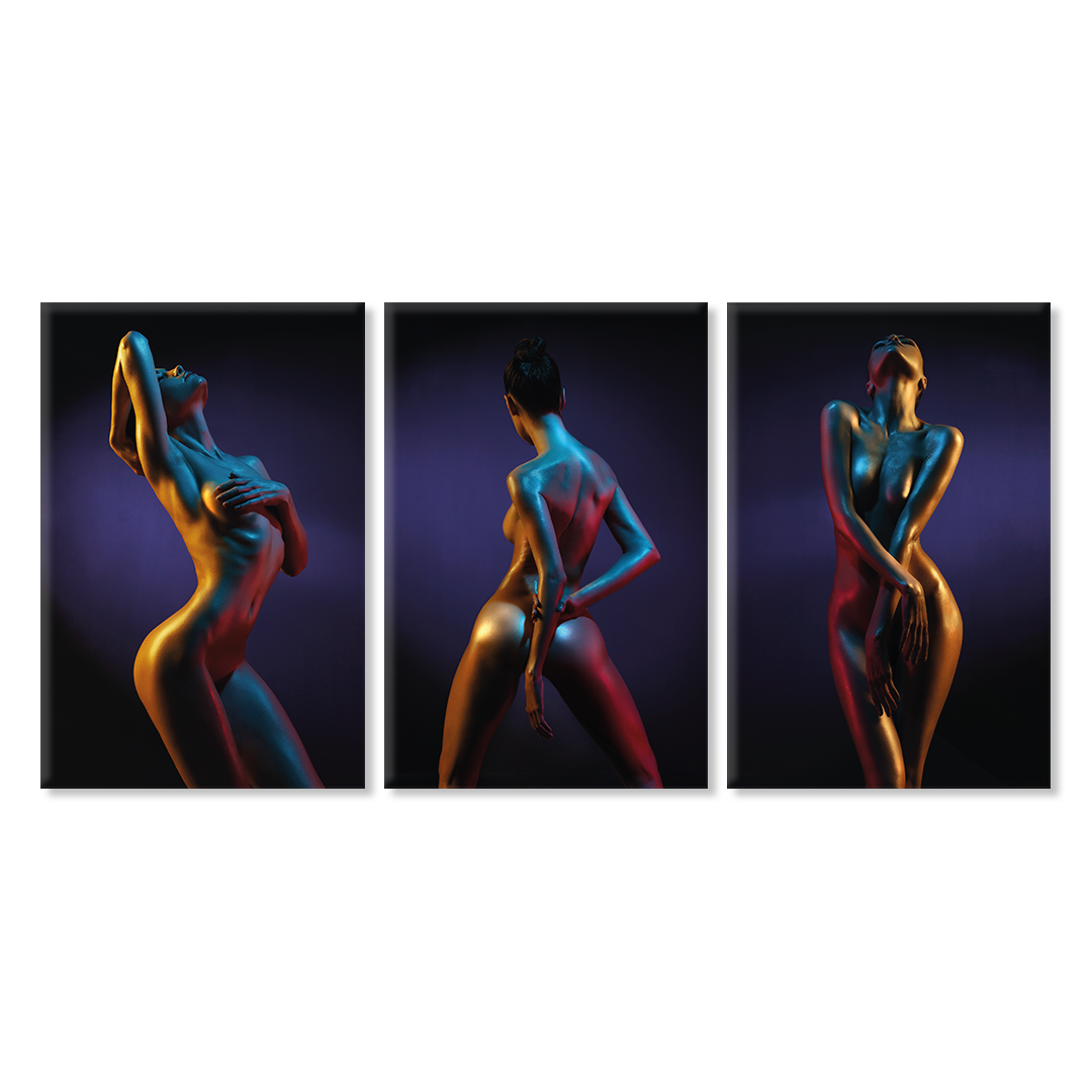 Acrylic Glass Frame Modern Wall Art, Set Of 3: Striptease - Sensual Series - Interior Design - Acrylic Wall Art - Picture Photo Printing Artwork - Multiple Size Options - egraphicstore
