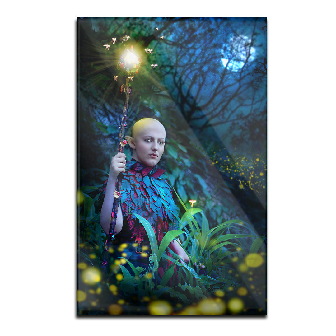 Acrylic Modern Wall Art Elf - Travel Around The World Series - Interior Design - Acrylic Wall Art - Picture Photo Printing Artwork - Multiple Size Options - egraphicstore