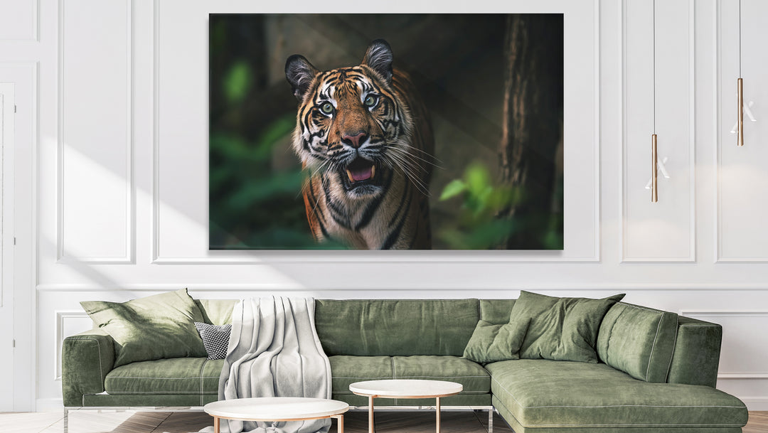 Acrylic Modern Wall Art Tiger - Animals In The Wild Series - Modern Interior Design - Acrylic Wall Art - Picture Photo Printing Artwork - Multiple Size Options - egraphicstore