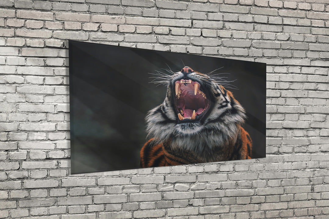 Acrylic Modern Wall Art Mother Tiger Roaring - Animals In The Wild Series - Modern Interior Design - Acrylic Wall Art - Picture Photo Printing Artwork - Multiple Size Options - egraphicstore
