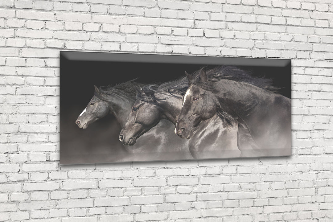 Acrylic Modern Wall Art Horses - Animals In The Wild Black and White Series - Modern Interior Design - Acrylic Wall Art - Picture Photo Printing Artwork - Multiple Size Options - egraphicstore