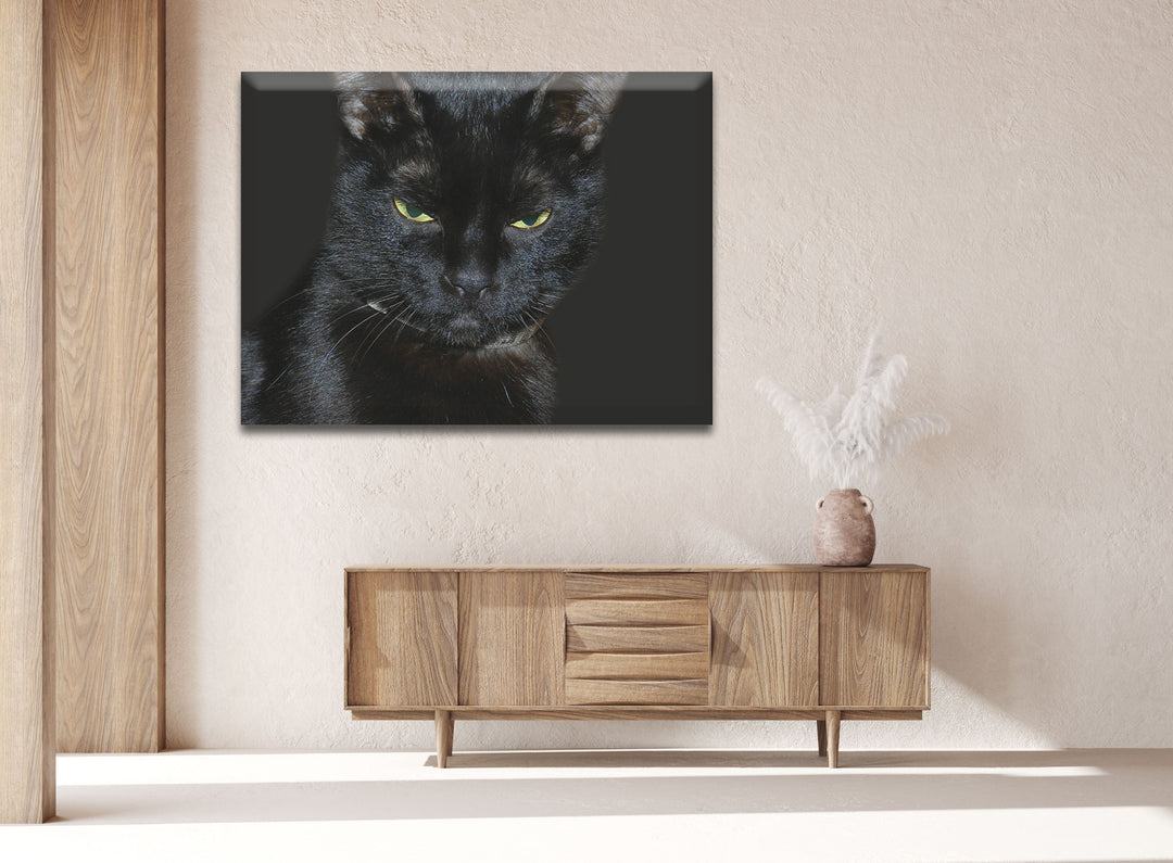 Acrylic Modern Wall Art Cat - Animals In The Wild Black and White Series - Interior Design NFT - Acrylic Wall Art - Picture Photo Printing Artwork - Multiple Size Options - egraphicstore