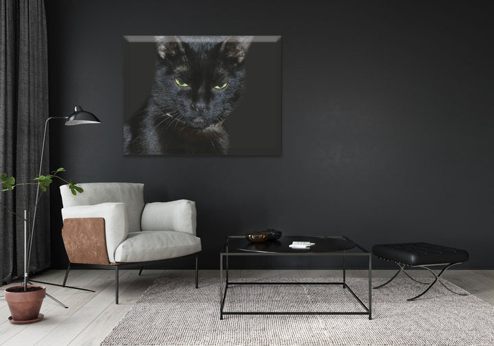 Acrylic Modern Wall Art Cat - Animals In The Wild Black and White Series - Interior Design NFT - Acrylic Wall Art - Picture Photo Printing Artwork - Multiple Size Options - egraphicstore