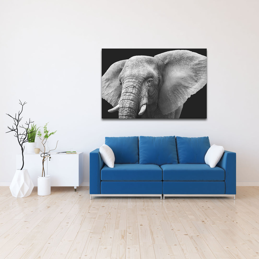 Acrylic Modern Wall Art Elephant - Animals In The Wild Black and White Series - Modern Interior Design - Acrylic Wall Art - Picture Photo Printing Artwork - Multiple Size Options - egraphicstore