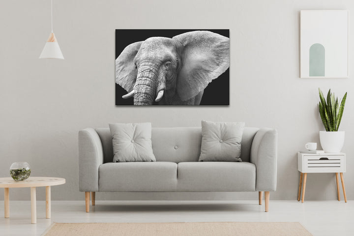 Acrylic Modern Wall Art Elephant - Animals In The Wild Black and White Series - Modern Interior Design - Acrylic Wall Art - Picture Photo Printing Artwork - Multiple Size Options - egraphicstore