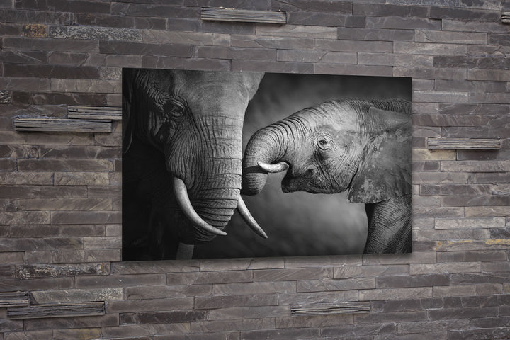 Acrylic Modern Wall Art Elephant Family - Animals In The Wild Black and White Series - Modern Interior Design - Acrylic Wall Art - Picture Photo Printing Artwork - Multiple Size Options - egraphicstore
