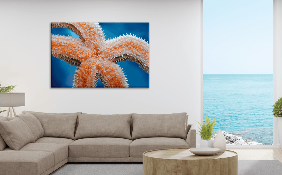 Acrylic Glass Modern Wall Art Starfish - Sea Life Series - Interior Design - Acrylic Wall Art - Picture Photo Printing Artwork - Multiple Size Options - egraphicstore