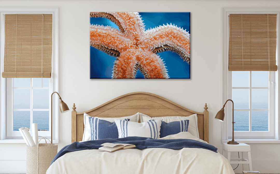 Acrylic Glass Modern Wall Art Starfish - Sea Life Series - Interior Design - Acrylic Wall Art - Picture Photo Printing Artwork - Multiple Size Options - egraphicstore