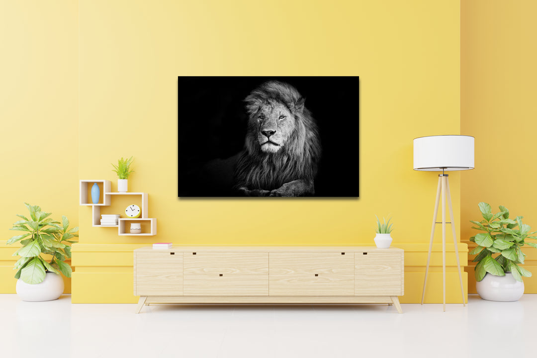 Acrylic Modern Wall Art Lion - Animals In The Wild Black and White Series - Modern Interior Design - Acrylic Wall Art - Picture Photo Printing Artwork - Multiple Size Options - egraphicstore