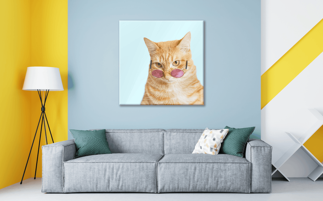 Acrylic Glass Frame Modern Wall Art, American Shorthair - Portait Pet Series - Interior Design - Acrylic Wall Art - Picture Photo Printing Artwork - Multiple Size Options - egraphicstore