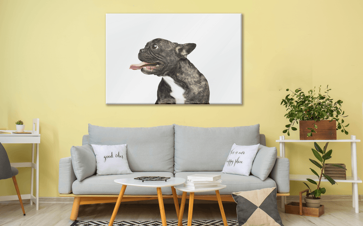 Acrylic Glass Frame Modern Wall Art, French Bulldog - Portait Pet Series - Interior Design - Acrylic Wall Art - Picture Photo Printing Artwork - Multiple Size Options - egraphicstore