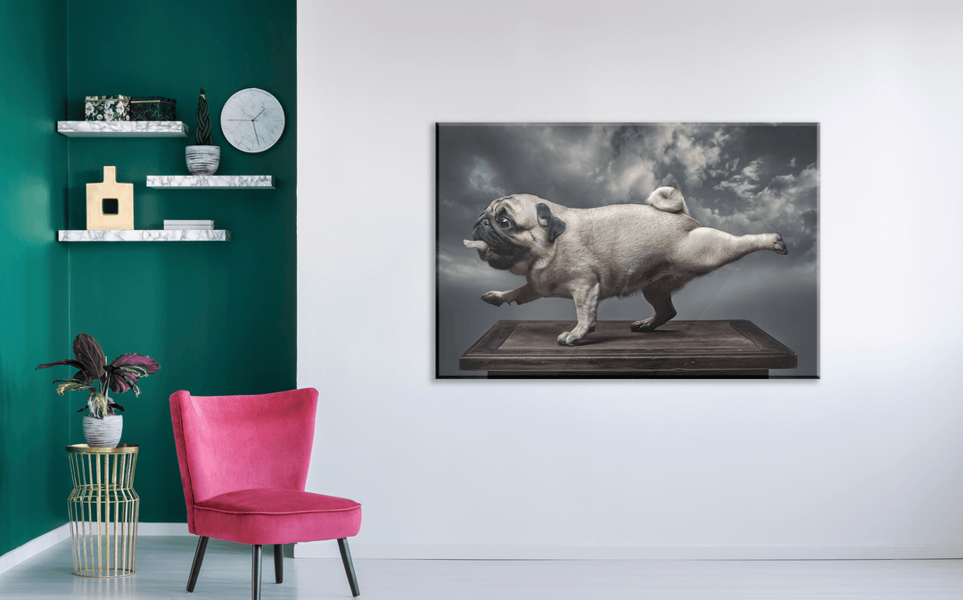 Acrylic Glass Frame Modern Wall Art, Pug - Portait Pet Series - Interior Design - Acrylic Wall Art - Picture Photo Printing Artwork - Multiple Size Options - egraphicstore