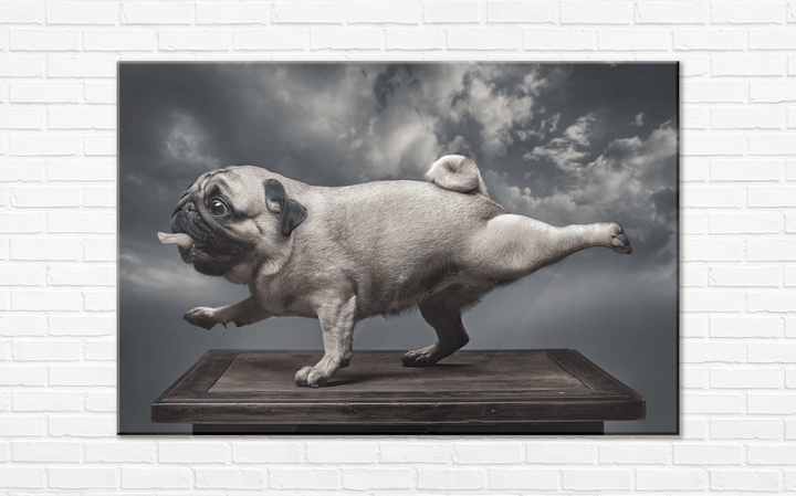 Acrylic Glass Frame Modern Wall Art, Pug - Portait Pet Series - Interior Design - Acrylic Wall Art - Picture Photo Printing Artwork - Multiple Size Options - egraphicstore