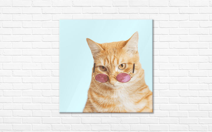 Acrylic Glass Frame Modern Wall Art, American Shorthair - Portait Pet Series - Interior Design - Acrylic Wall Art - Picture Photo Printing Artwork - Multiple Size Options - egraphicstore