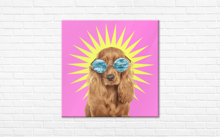 Acrylic Glass Frame Modern Wall Art, Hippie English Cocker Spaniel - Portait Pet Series - Interior Design - Acrylic Wall Art - Picture Photo Printing Artwork - Multiple Size Options - egraphicstore