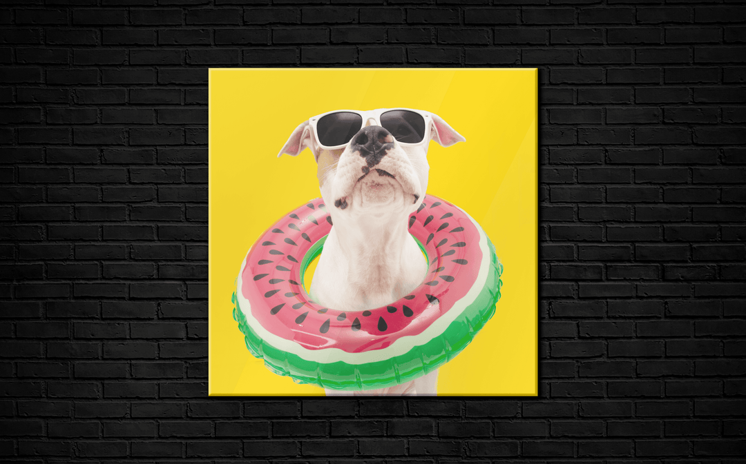 Acrylic Glass Frame Modern Wall Art, Summer American Staffordshire - Portait Pet Series - Interior Design - Acrylic Wall Art - Picture Photo Printing Artwork - Multiple Size Options - egraphicstore