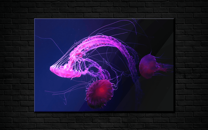 Acrylic Glass Modern Wall Art Jellyfish - Sea Life Series - Interior Design - Acrylic Wall Art - Picture Photo Printing Artwork - Multiple Size Options - egraphicstore