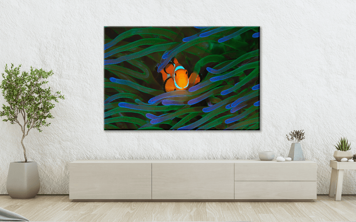 Acrylic Glass Modern Wall Art Clownfish - Sea Life Series - Interior Design - Acrylic Wall Art - Picture Photo Printing Artwork - Multiple Size Options - egraphicstore