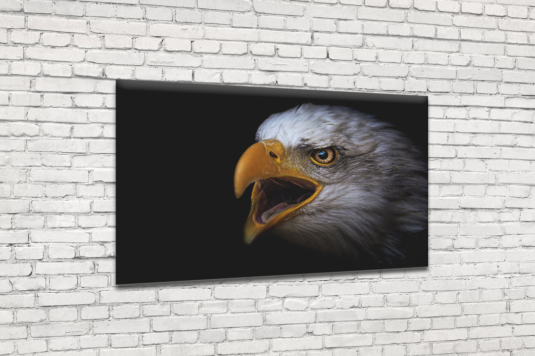 Acrylic Modern Wall Art Eagle - Animals In The Wild Black and White Series - Interior Design NFT - Acrylic Wall Art - Picture Photo Printing Artwork - Multiple Size Options - egraphicstore