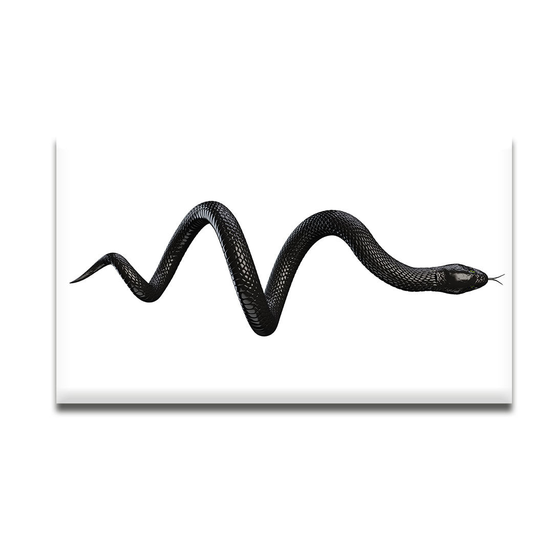 Acrylic Modern Wall Art Snake - Animals In The Wild Black and White Series - Interior Design NFT - Acrylic Wall Art - Picture Photo Printing Artwork - Multiple Size Options - egraphicstore