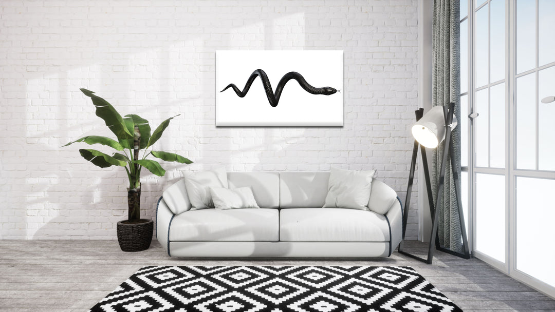 Acrylic Modern Wall Art Snake - Animals In The Wild Black and White Series - Interior Design NFT - Acrylic Wall Art - Picture Photo Printing Artwork - Multiple Size Options - egraphicstore